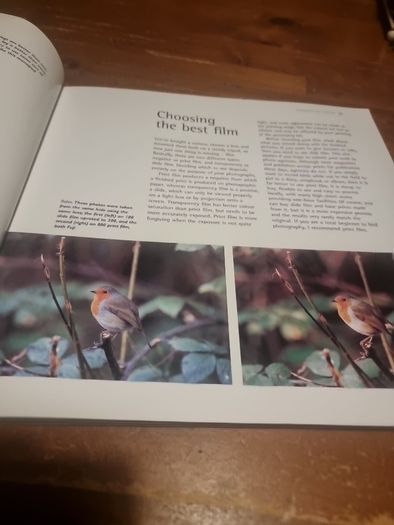 An Essential Guide to Bird Photography (Paperback)