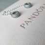 Pandora Sparkly Safety Chain Image 3