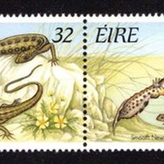 1995 Ireland Fauna & Flora: Reptiles and Amphibians Se-tenant Stamps Fine Used