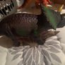 kids toy dinosaurs like new Image 5