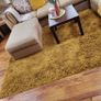 Rug Image 2