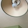 Lampshades Image 2