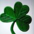 shamrocks2468