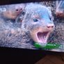 75 smart Tv Image 2
