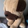 Dog teddy Image 3