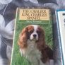 4 book lot on the Cavalier King Charles Spaniels Image 2
