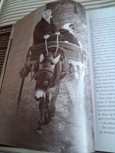 Book. Yesterday's Ireland.