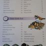 birds book Image 2