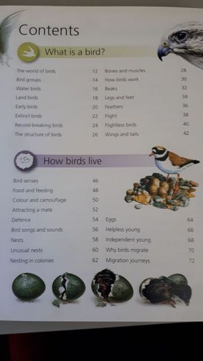 birds book