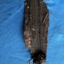 bog oak Image 3