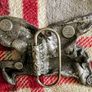 Bergamot Flying Horse belt Buckle Image 2