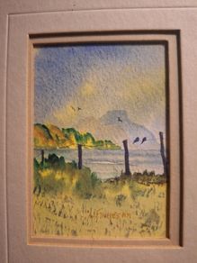 Framed watercolours by Elizabeth Finnegan