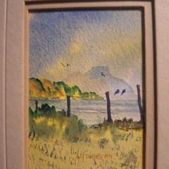 Framed watercolours by Elizabeth Finnegan