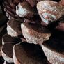New XXXL frosted detail rustic resin Pinecone with subtle frost detail Image 5