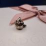 pandora charms Image 8