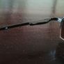 Eye Glasses Frame Image 4