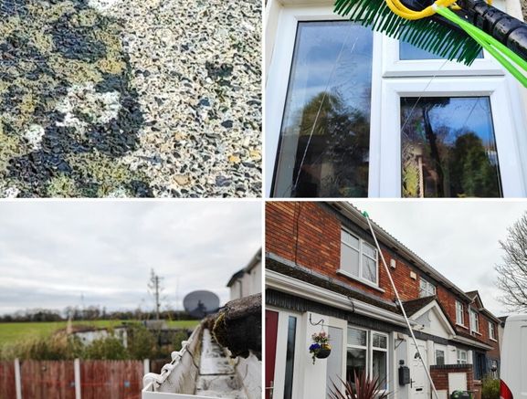 Gutter cleaning Power washing, Windows cleaning,  Ozone treatment