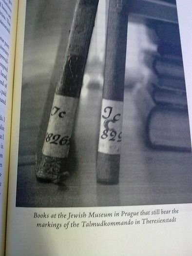 The Book Thieves Nazi looting of Europe's libraries World War 2