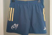 Adults Munster Rugby Training Pro Shorts