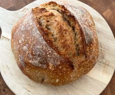 Organic sourdough starter