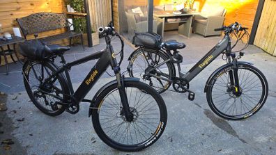 2 e bikes, both in perfect condition, light use and always housed when not in use