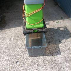 hedge