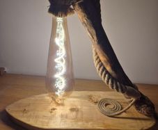 Unique Hand crafted lamp