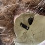 Star Wars - Chewbacca Mask Image 6