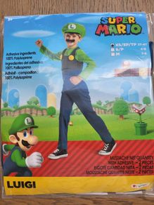 Super Mario- Luigi Costume