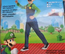 Super Mario- Luigi Costume