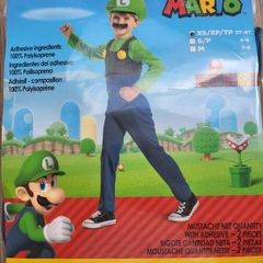 Super Mario- Luigi Costume