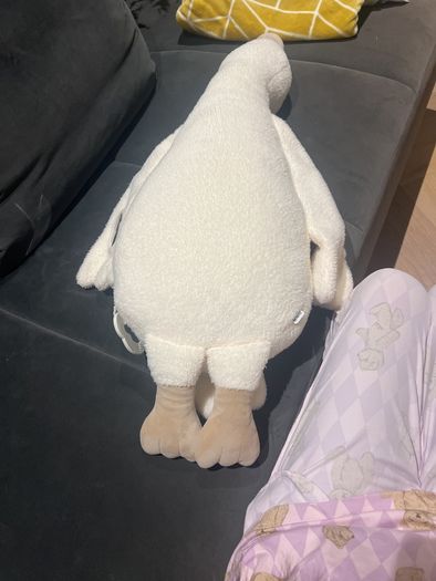 soft goose