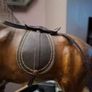 Liberty style Horse Image 3