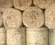 Hay