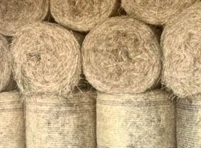 Hay