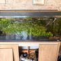 Various fish, fish tank & pump etc