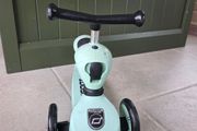 Scoot &amp; Ride Scooter