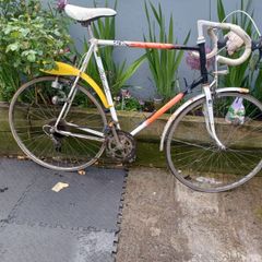 Project bike