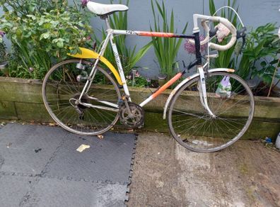 Project bike