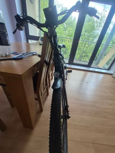 pedal assist