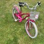 Girls Bike 20 inch Image 2