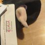 Harry Potter doll Image 7
