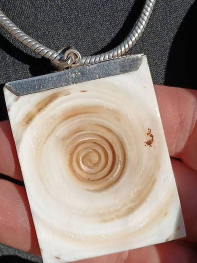 Stunning Sterling Silver Natural Shell Pendant Set.