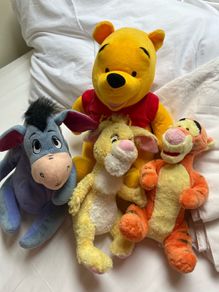 winnie the pooh soft toys