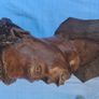 Large Wooden Head Sculpture Image 9