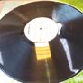 SOLD - WUBBLE-U - Petal - Indolent Records - Prog House / Breaks Image 6