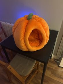 Pumpkin Pet Bed
