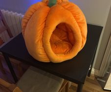 Pumpkin Pet Bed