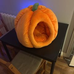 Pumpkin Pet Bed