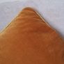 Gold Velvet Cushions Image 3